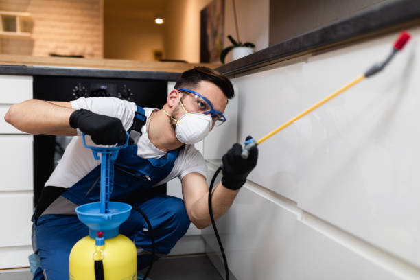 Best Ant Control Services  in Theodore, AL