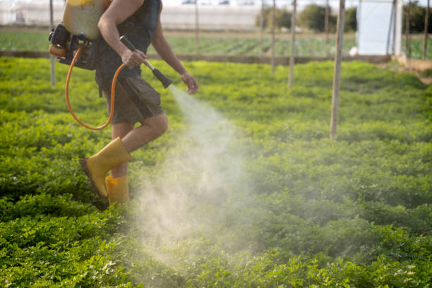 Reliable Theodore, AL Pest Control Solutions