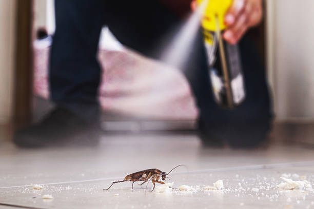 Best Best Pest Control Companies  in Theodore, AL