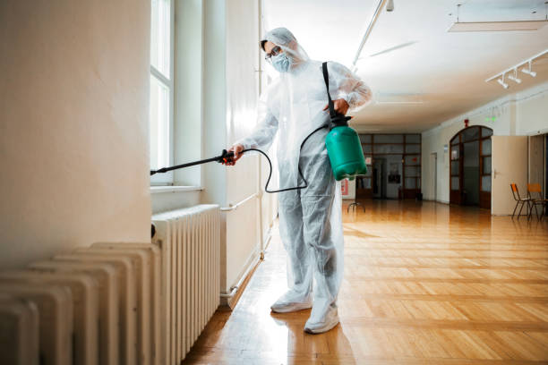 Best Affordable Pest Control Services  in Theodore, AL