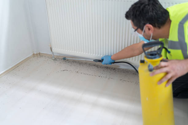 Best Best Pest Control Companies  in Theodore, AL